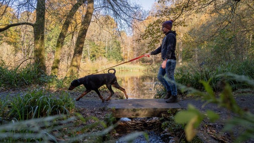 Man in a bobble hat, black jacket and blue jeans walking his Doberman dog on a red lead past one of the ponds at Wallington